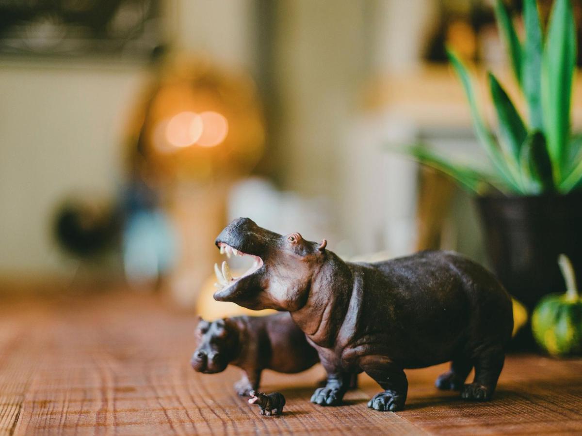 Hippo Hostel And Cafe Bar 大阪 外观 照片