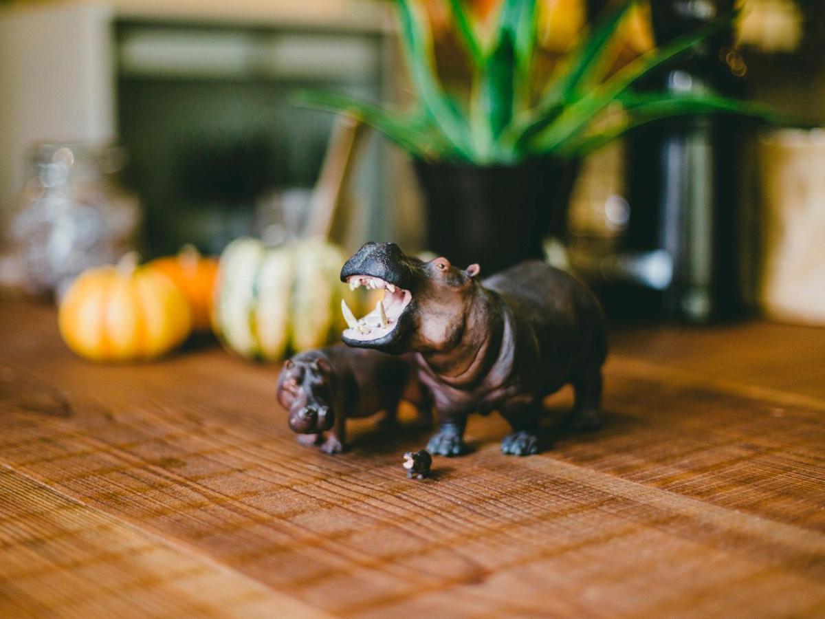 Hippo Hostel And Cafe Bar 大阪 外观 照片